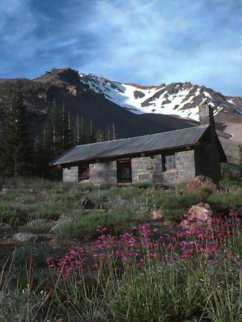 Shasta Alpine Lodge